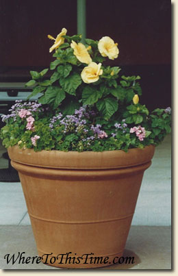 flowerpot