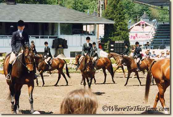 devonhorseshow2-wheretothistime.com